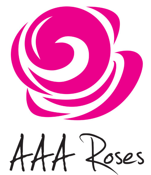 AAA Roses